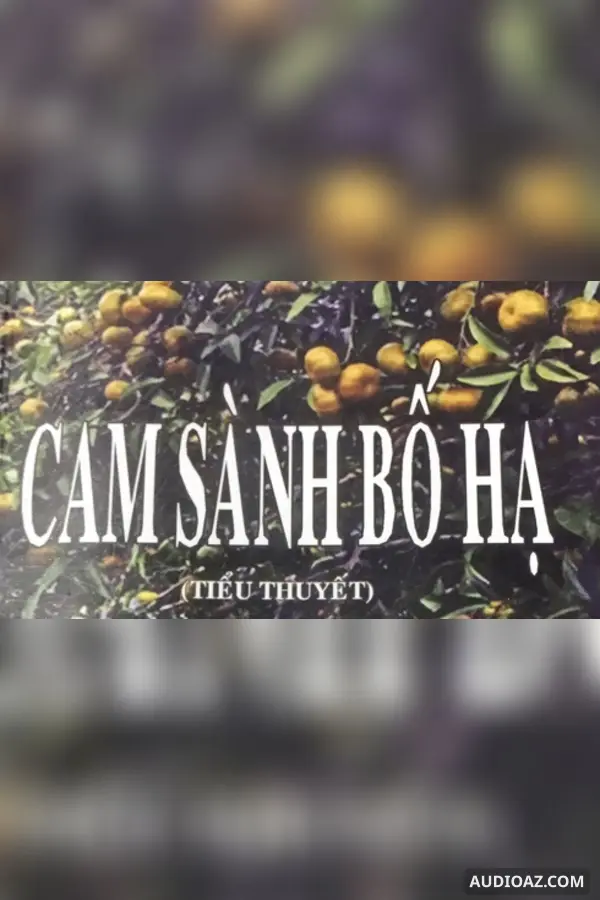 Cam Sành Bố Hạ