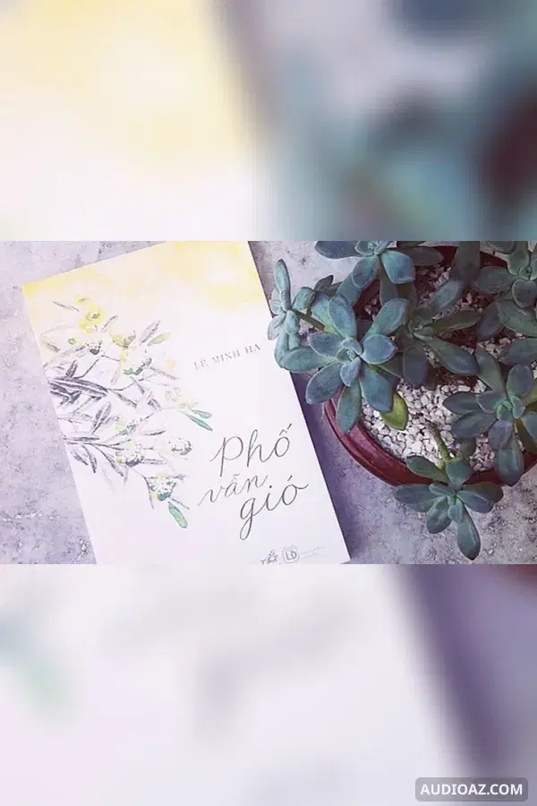 Phố vẫn gió