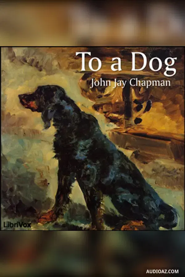 To a Dog