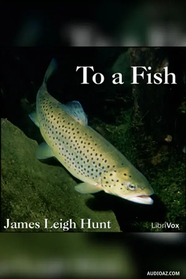To a Fish