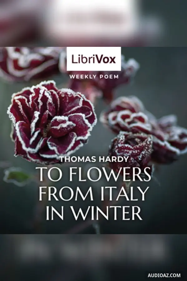 To Flowers From Italy In Winter