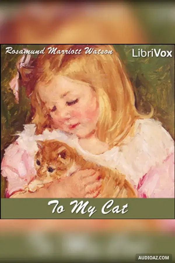 To My Cat