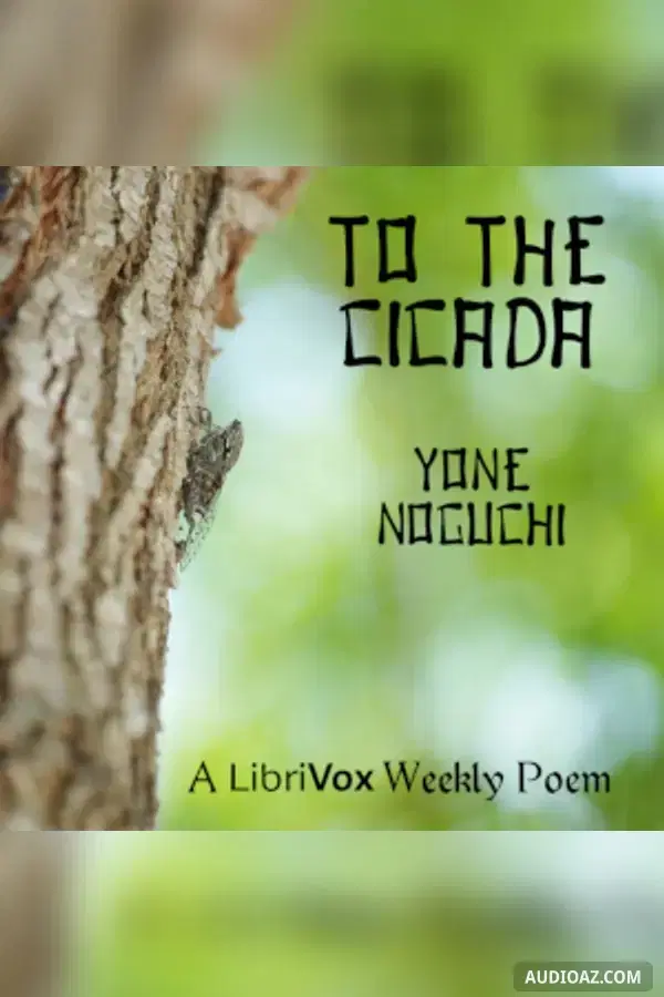 To The Cicada
