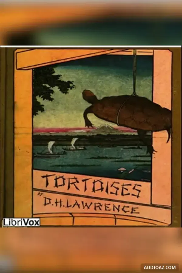 Tortoises