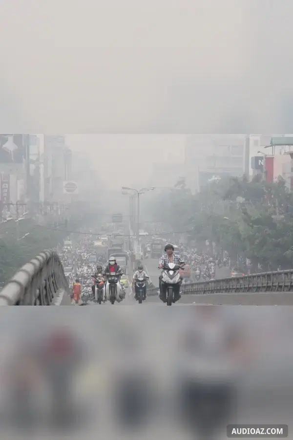 Bụi thị thành