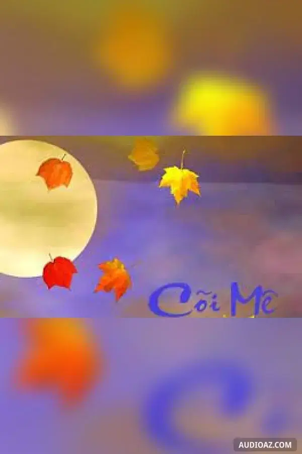 Cõi mê
