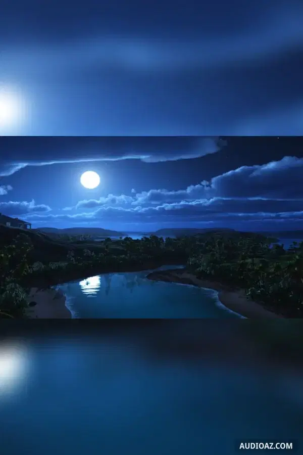 Đảo trong đêm
