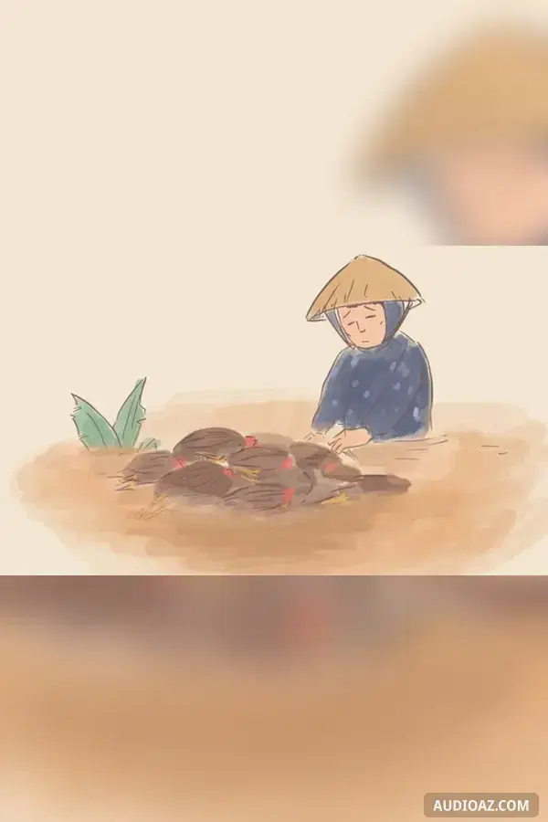 Đêm lũ mưa