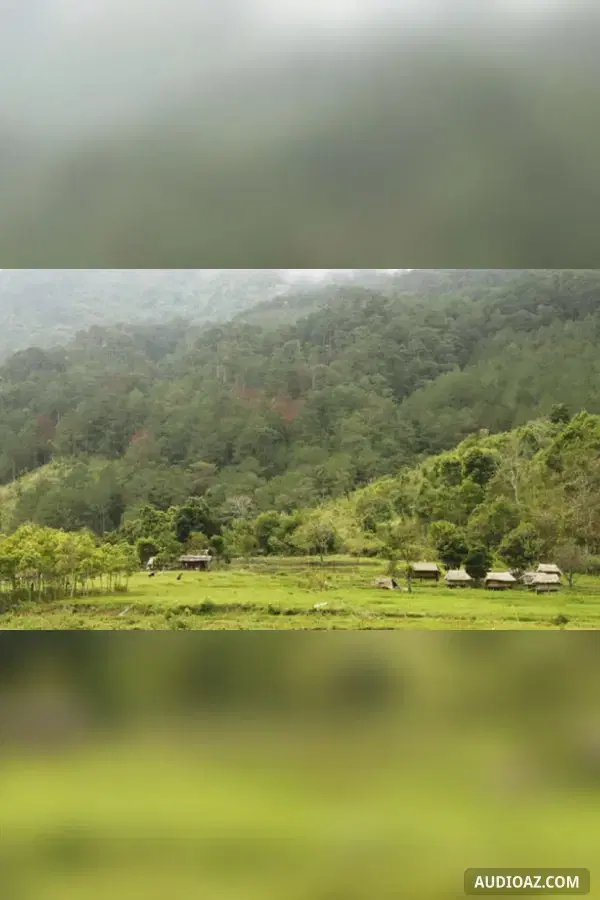 Dưới bóng rừng xau xau