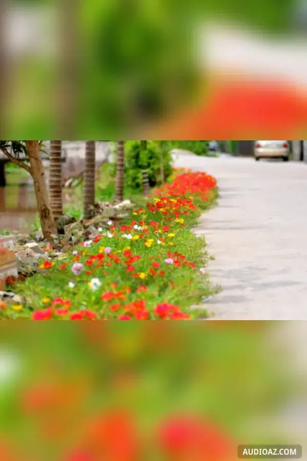 Đường hoa