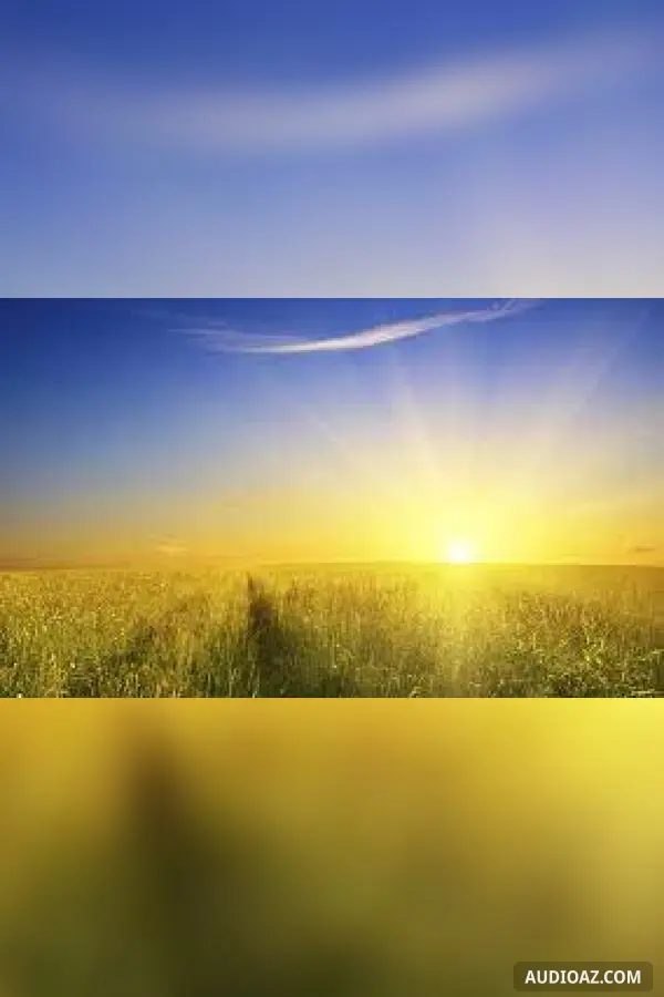 Nắng sớm ngập tràn