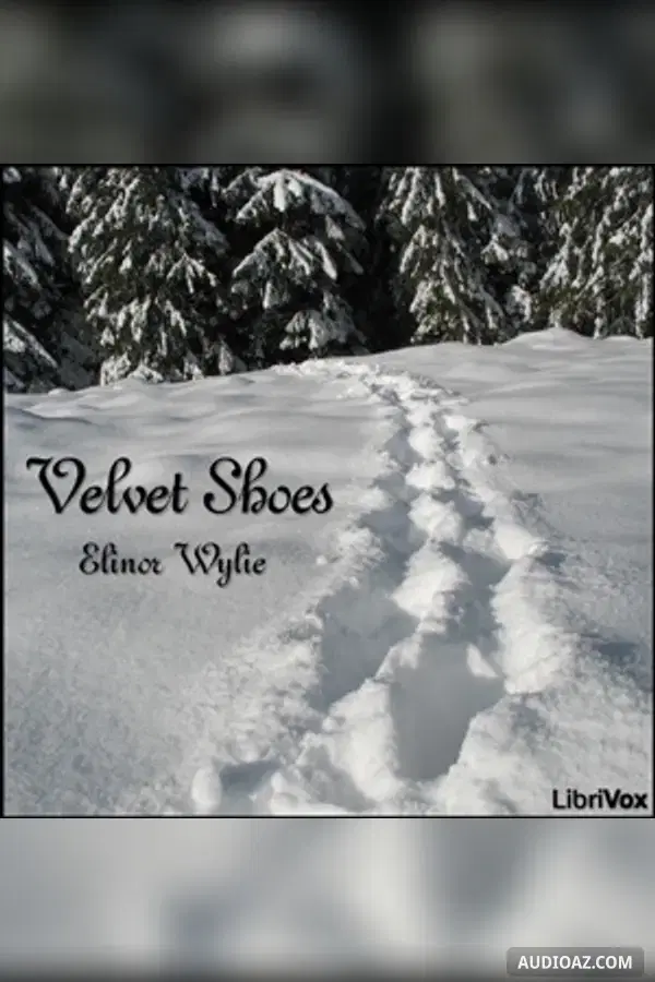 Velvet Shoes