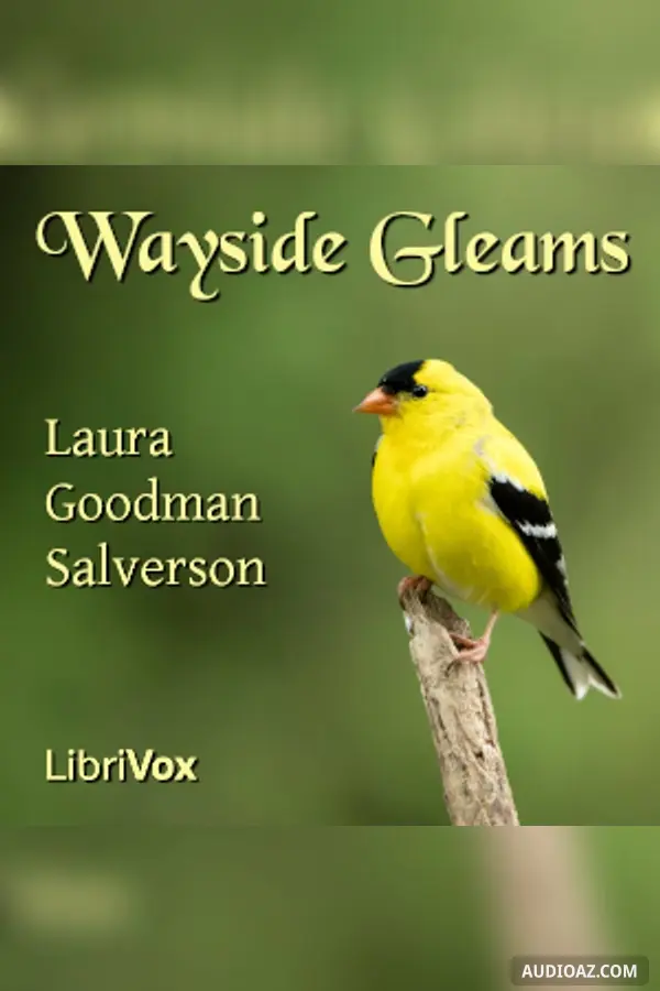 Wayside Gleams