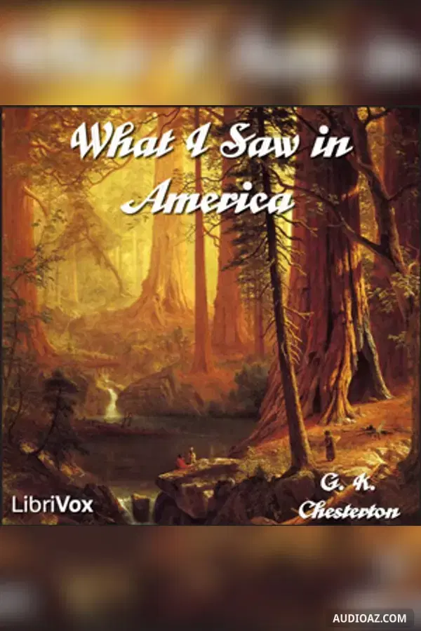 What I Saw in America