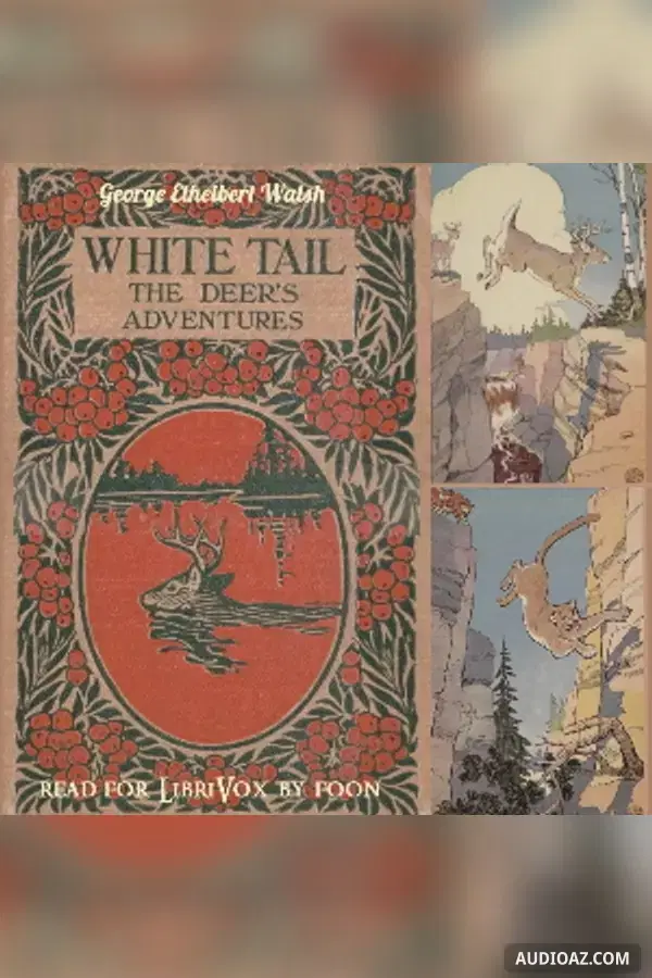 White Tail the Deer's Adventures