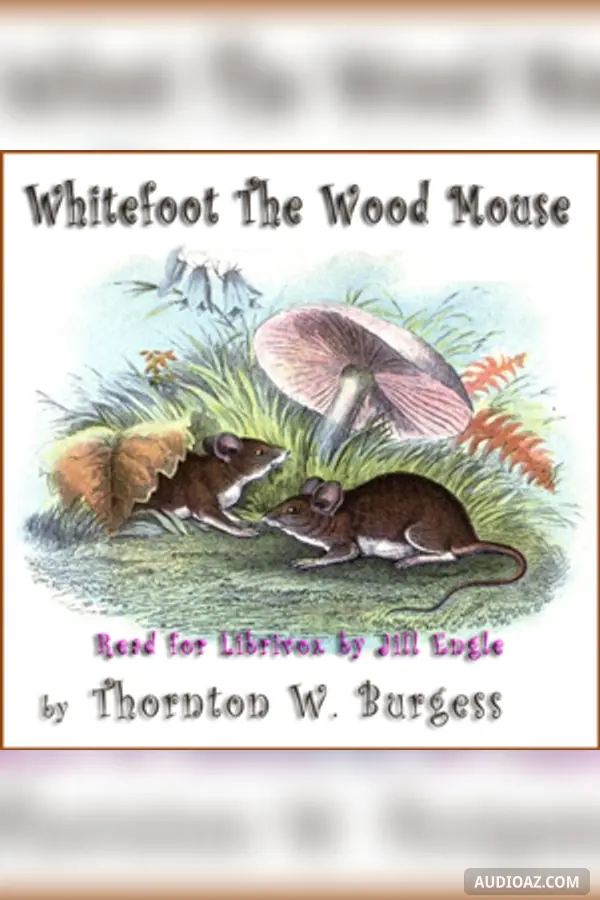 Whitefoot the Wood Mouse