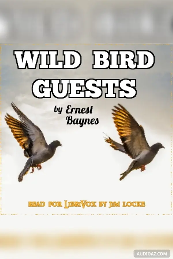 Wild Bird Guests