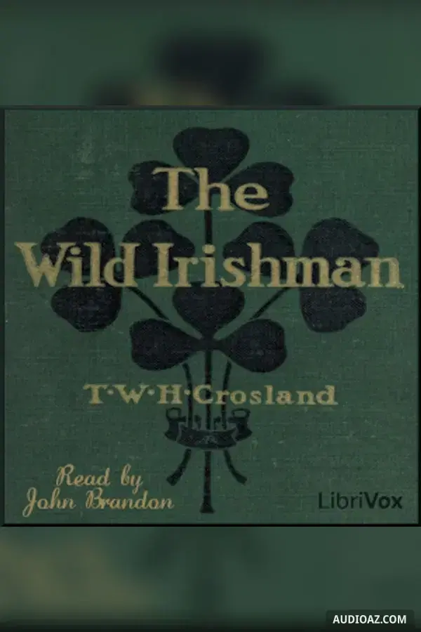 Wild Irishman