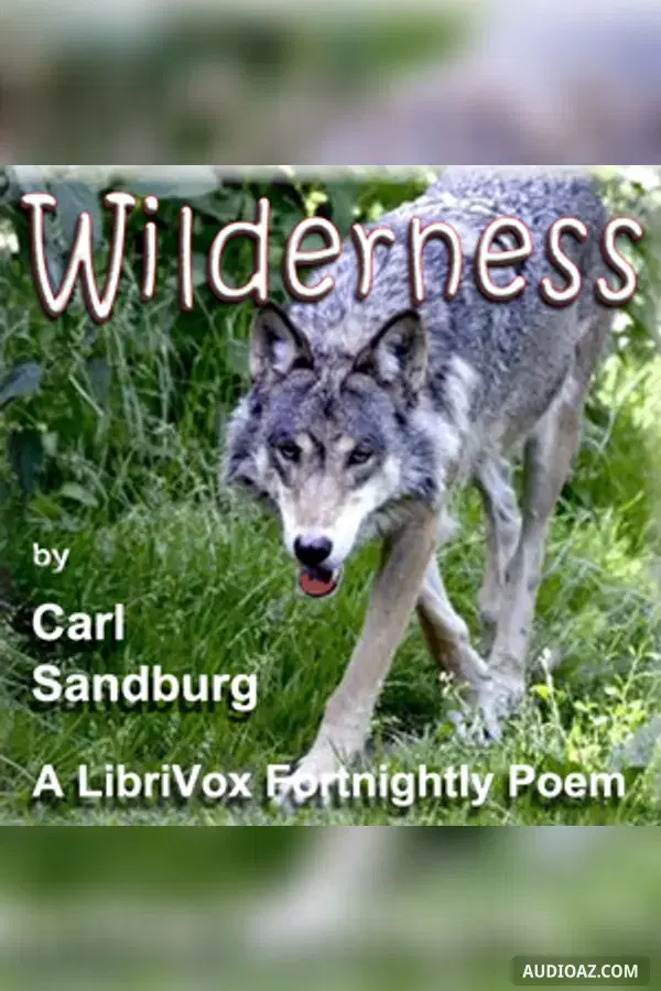 Wilderness