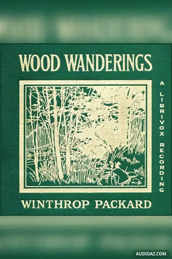 Wood Wanderings