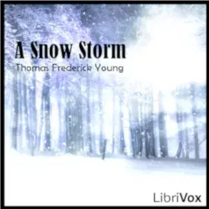 Snow Storm