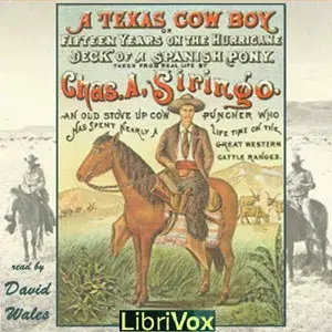 Texas Cowboy; Or Fifteen Years on the Hurricane Deck of a Spanish Pony