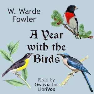 Year with the Birds