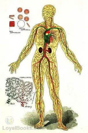 Physiology and Hygiene