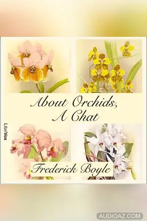 About Orchids, a Chat