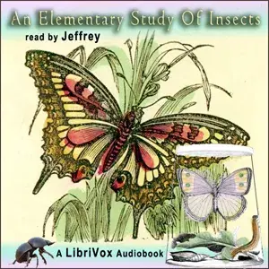 Elementary Study of Insects