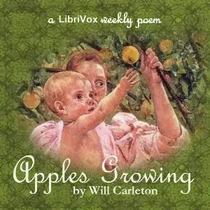 Apples Growing