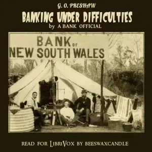 Banking Under Difficulties