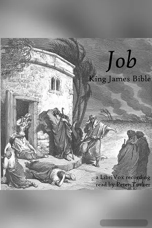 Bible (KJV) 18: Job (version 2)