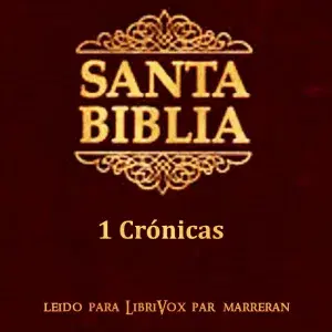 Bible (Reina Valera) 13: 1 Crónicas