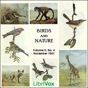 Birds and Nature, Vol. X, No 4, November 1901