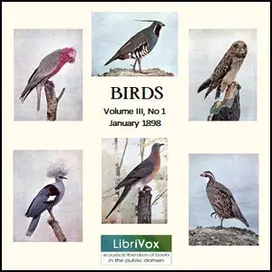 Birds, Vol. III, No 1, January 1898