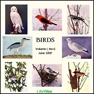 Birds, Vol. I, No 6, June 1897