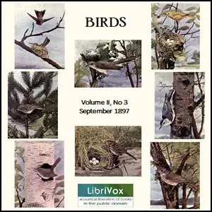 Birds, Vol. II, No 3, September 1897