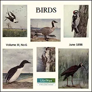 Birds, Vol. III, No 6, June 1898