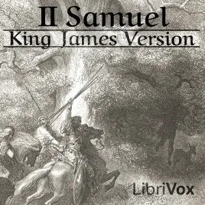Bible (KJV) 10: 2 Samuel