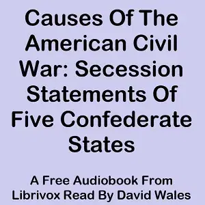 Causes Of The American Civil War: Secession Statements Of Five Confederate States (South Carolina, Texas, Virginia, Georgia, Mississippi)