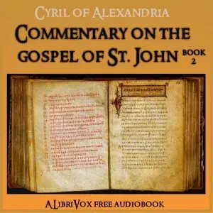 Commentary on the Gospel of John, Book 2