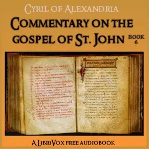 Commentary on the Gospel of John, Book 6
