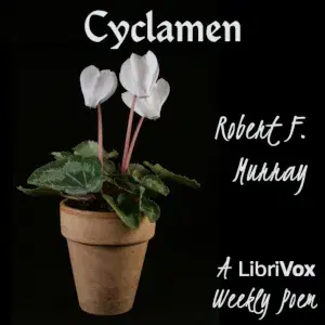 Cyclamen