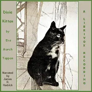 Dixie Kitten