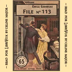 File No. 113