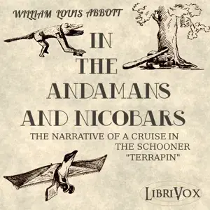 In the Andamans and Nicobars
