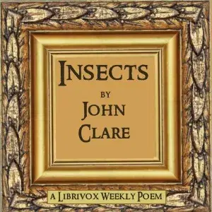 Insects