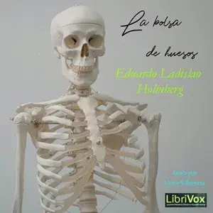 bolsa de huesos