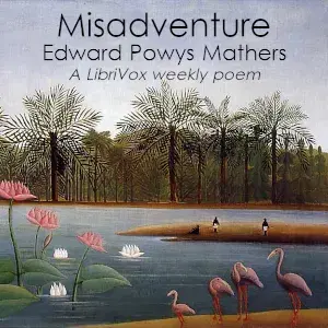 Misadventure